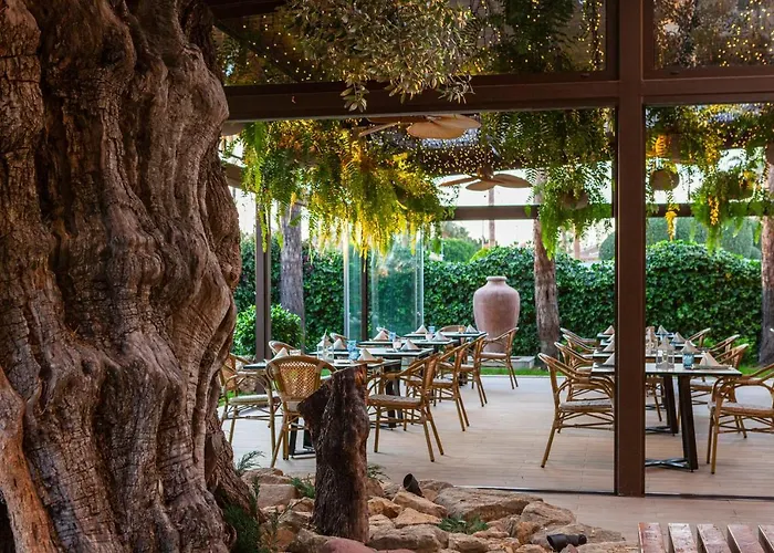 La Laguna & Golf 4* Ciudad Quesada